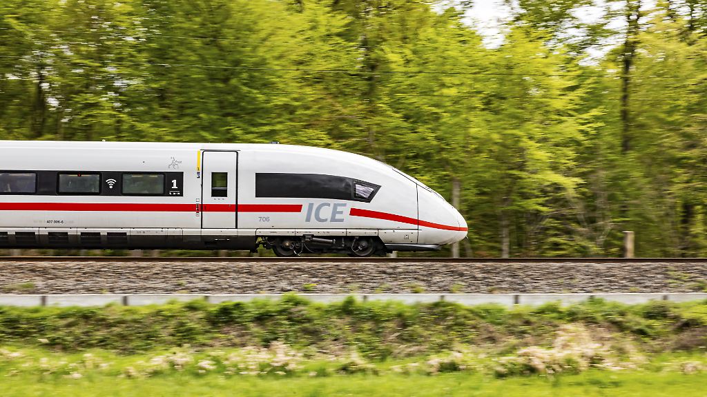591594005 (1)